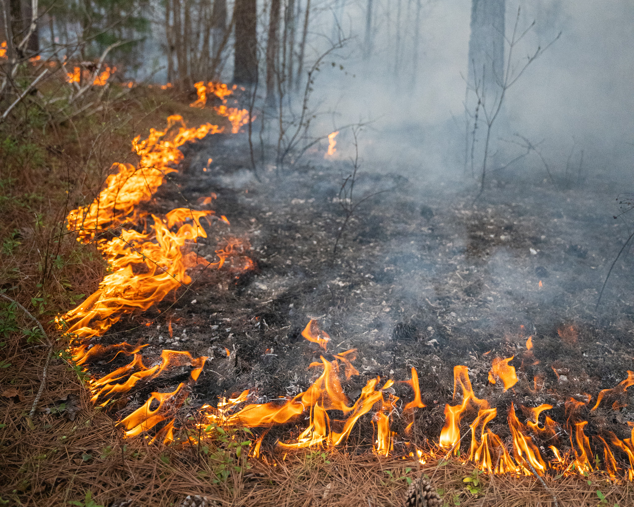 Matts Creek wildfire map Update shows Virginia blaze spreading AllSides