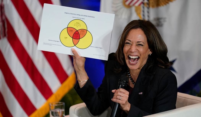 2024 Presidential Election, Kamala Harris, Donald Trump, Electoral College