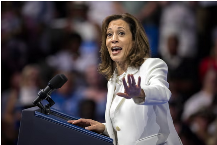 2024 Presidential Election, Kamala Harris, Policy, Platform