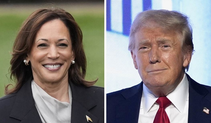 2024 Presidential Election, Donald Trump, Kamala Harris, Threats to Democracy