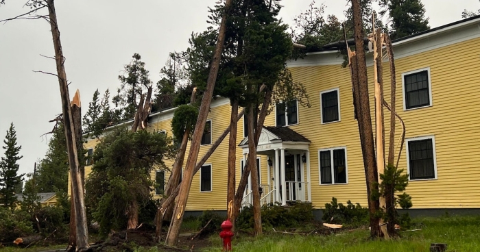 Powerful Storm Topples Trees At Lake Yellowstone Hotel In Yellowstone