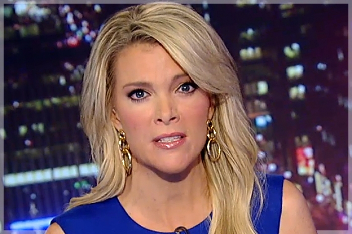 I Watched Megyn Kelly For Six Weeks How I Learned To Uncode The Fox News Propaganda Machine 9501